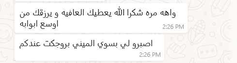 سكرين شوت رسالة واتساب 3